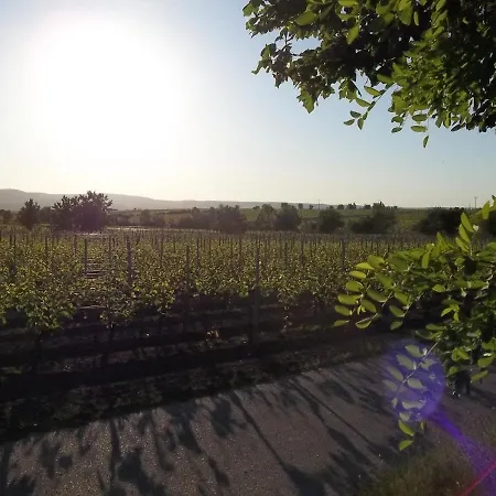 Pfalzwohnung Ellerstadt