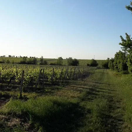 Pfalzwohnung Ellerstadt