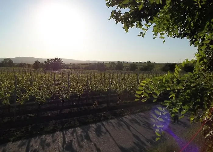 Pfalzwohnung Ellerstadt