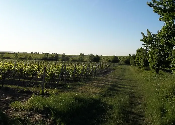 Pfalzwohnung Ellerstadt